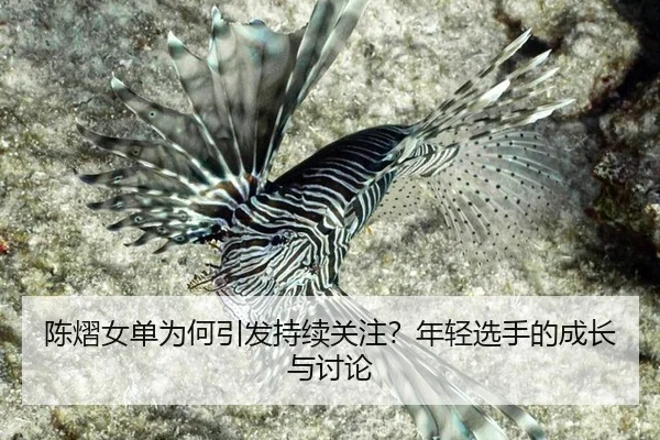 陈熠女单为何引发持续关注？年轻选手的成长与讨论