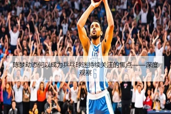 陈梦动态何以成为乒乓球迷持续关注的焦点——深度观察